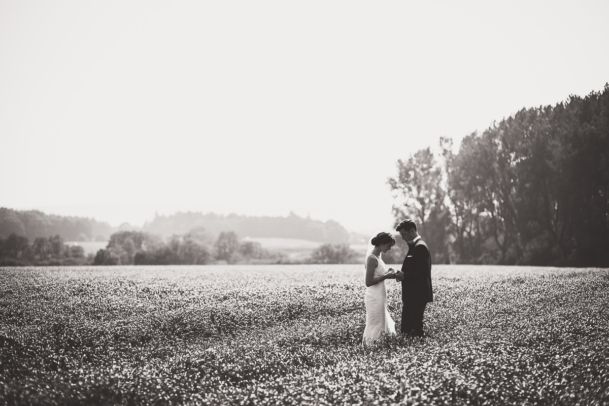 A groom and bride posing for wedding photos in a field.