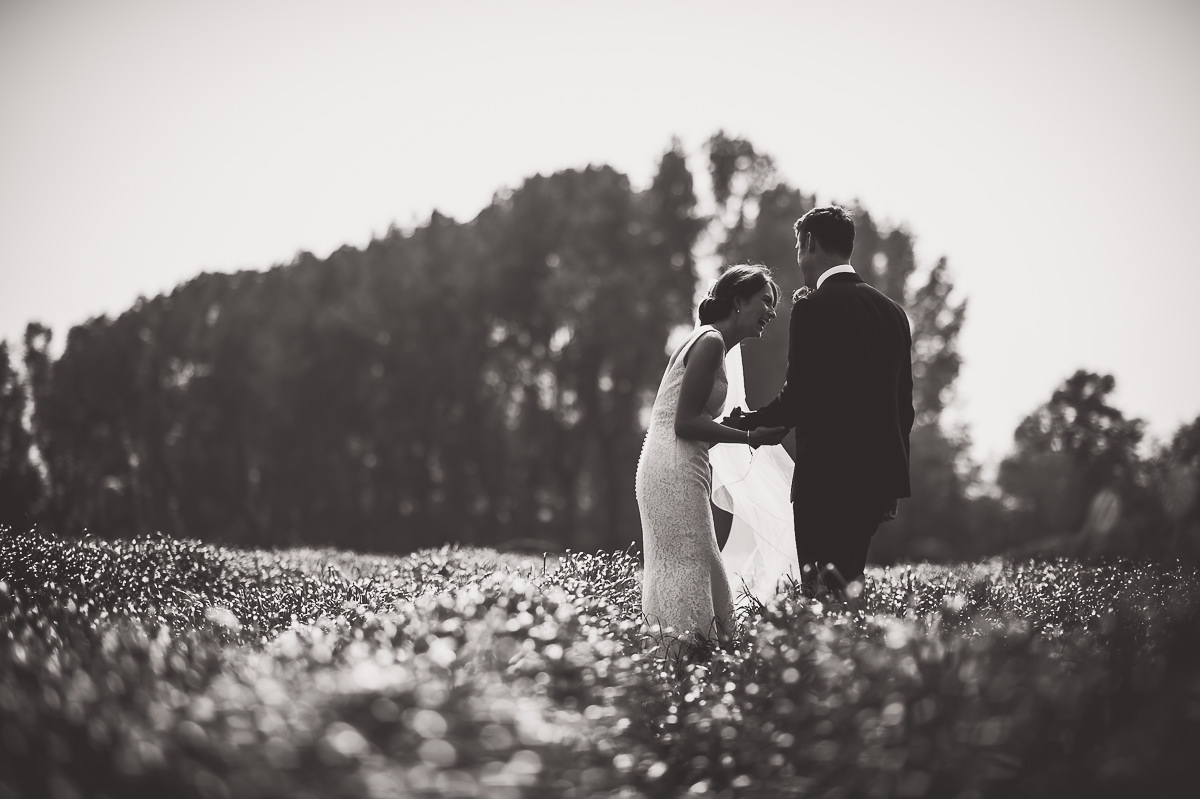 A wedding couple posing for photos.