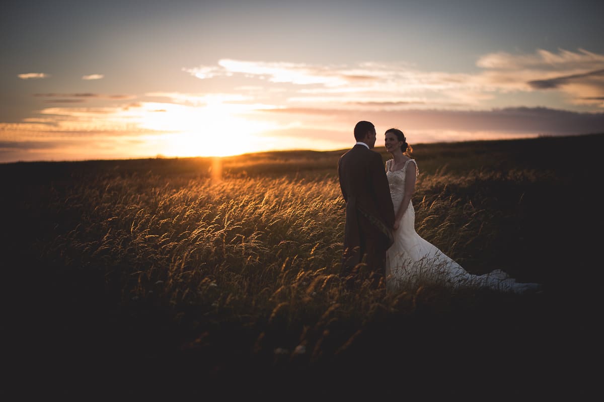 golden grass golden hour