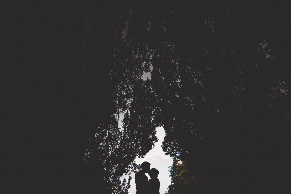 A silhouette of a bride and groom standing under a wedding tree.