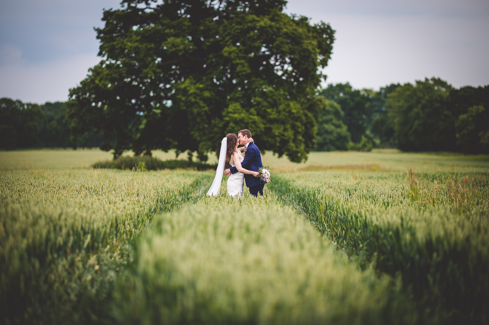 A groom kissing the bride during their wedding photoshoot in a wheat field.