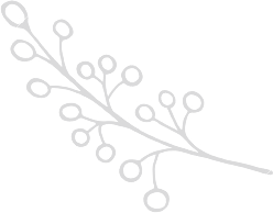 A black and white image of a giraffe standing on a white background, resembling a wedding photo.