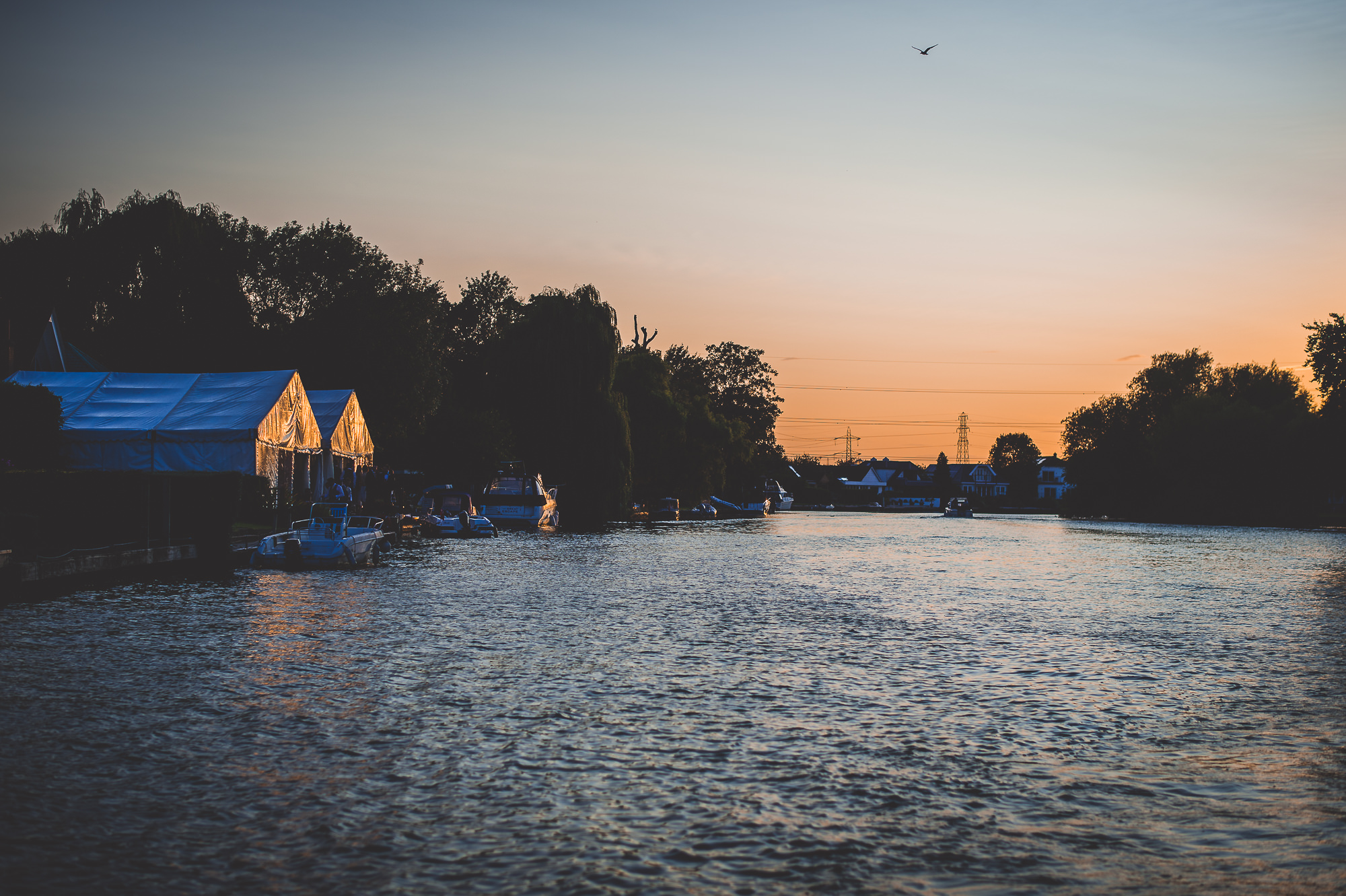 A romantic wedding photo captured by a skilled wedding photographer, featuring a river with boats on it illuminated by the vibrant sunset.