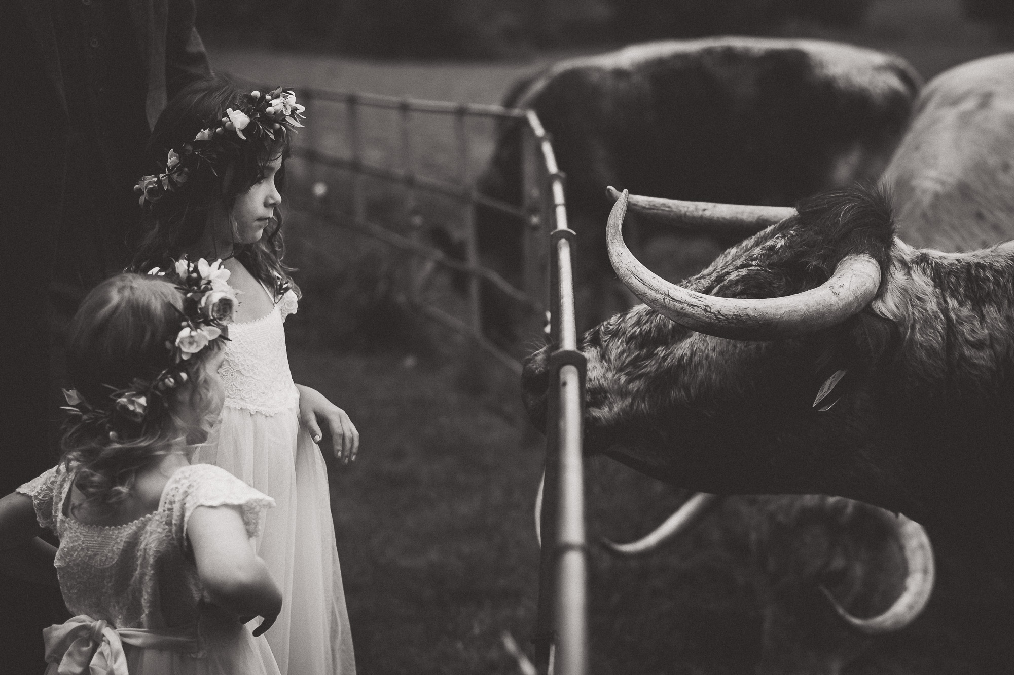 Gate Street Barn Wedding Photographer