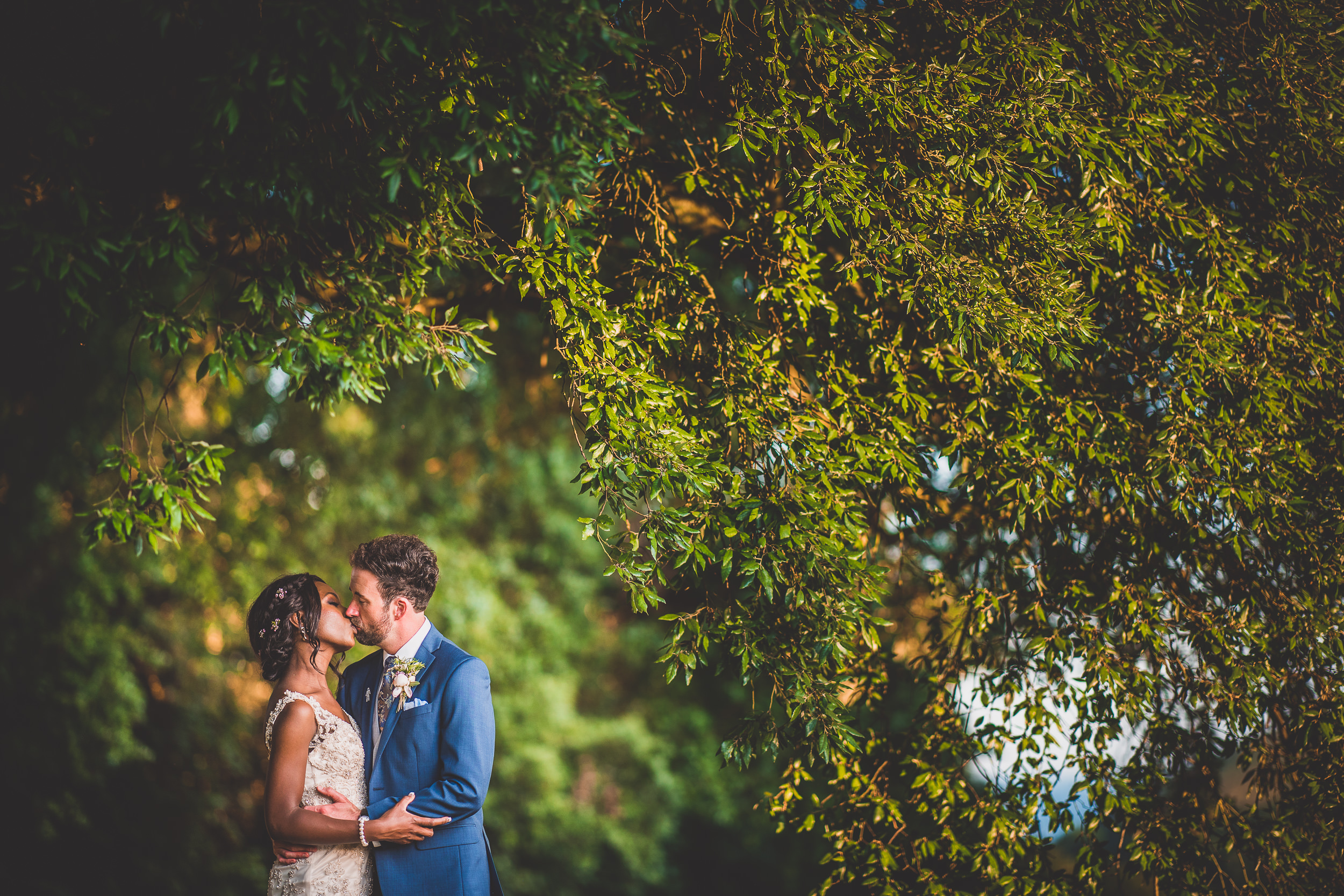 A bride and groom captured by a wedding photographer during their romantic tree-side kiss.