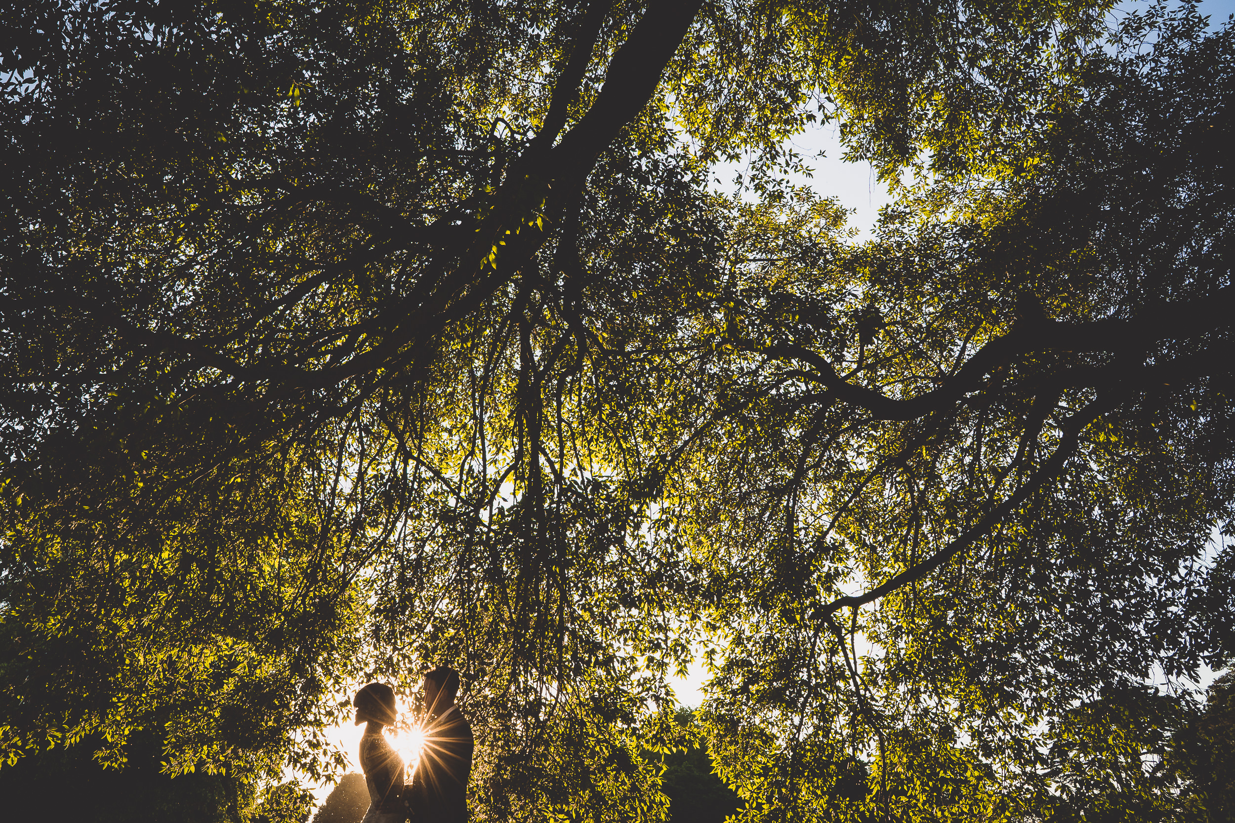 A wedding photo of a bride and groom standing under a tree at sunset.