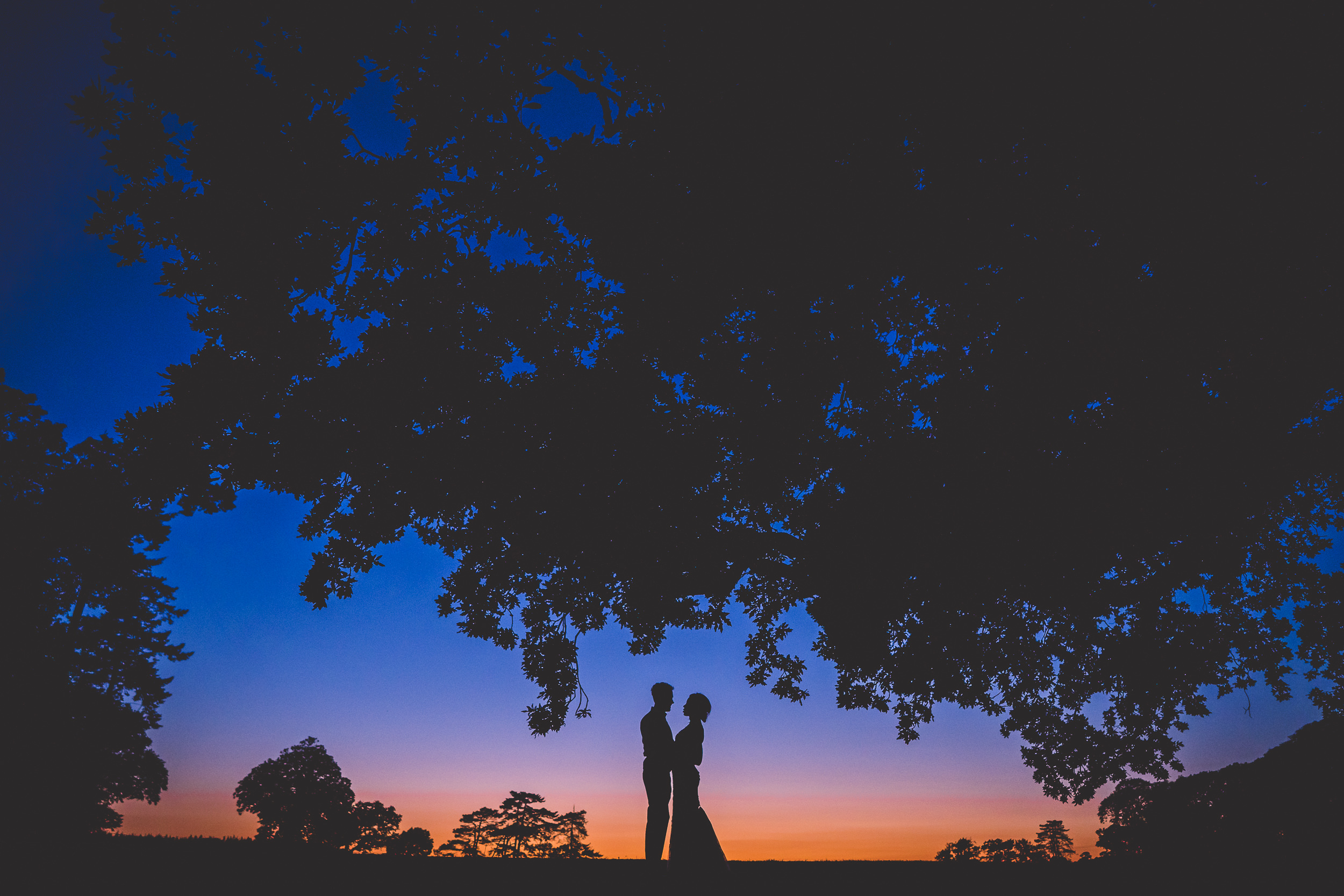 A wedding photo capturing a bride and groom in silhouette against a sunset tree.