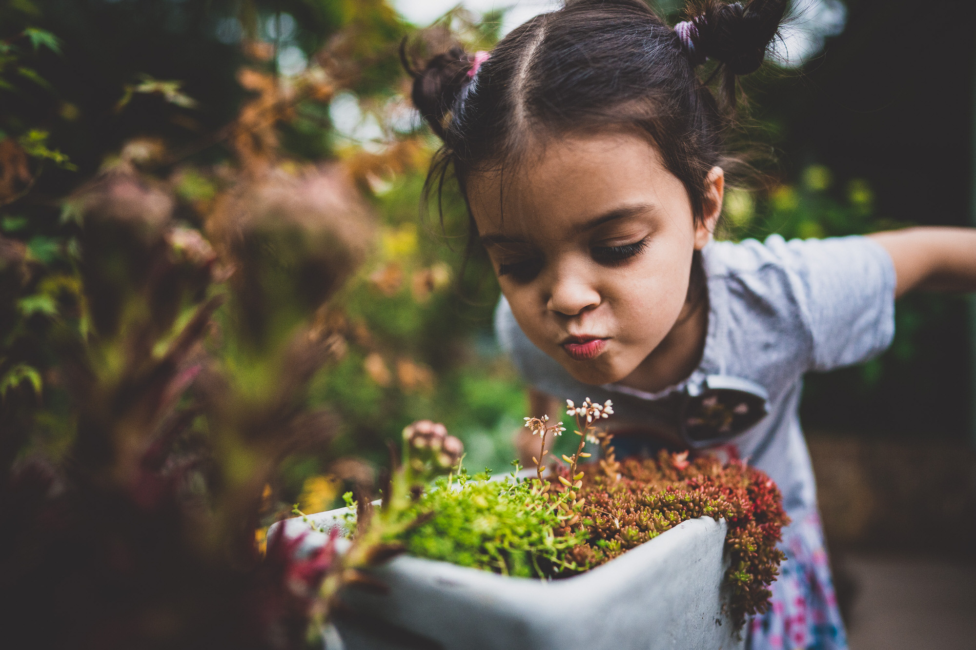 A wedding photographer capturing the groom with a little girl among potted plants.