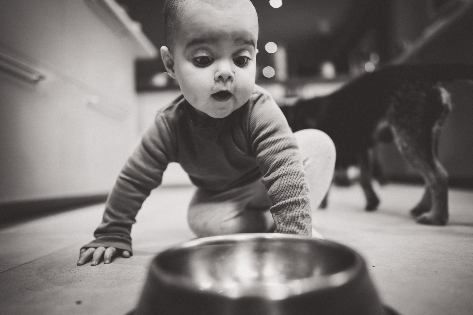A black and white photo of a baby playing with a bowl at a wedding celebration.