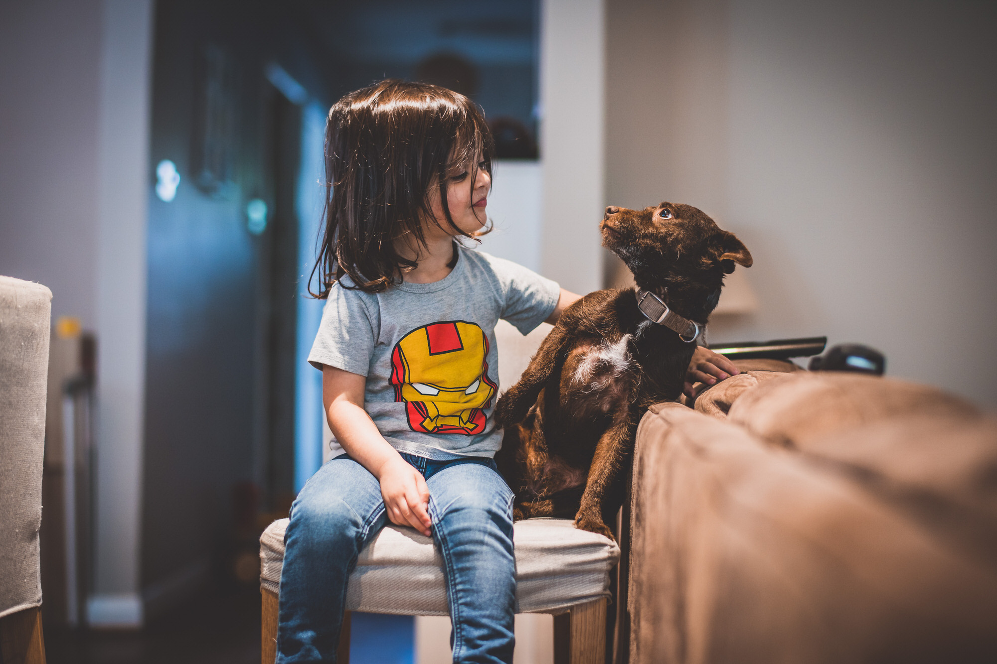 A little girl posing with a dog in a wedding photo.
