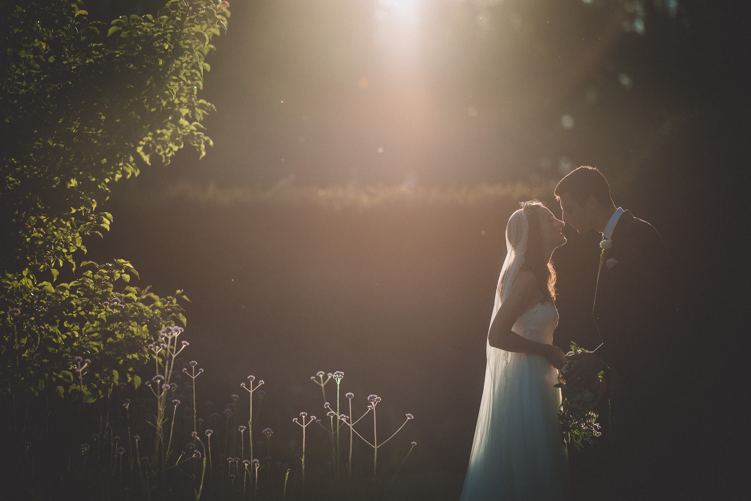 A wedding photo capturing the bride and groom in a sunlit field.