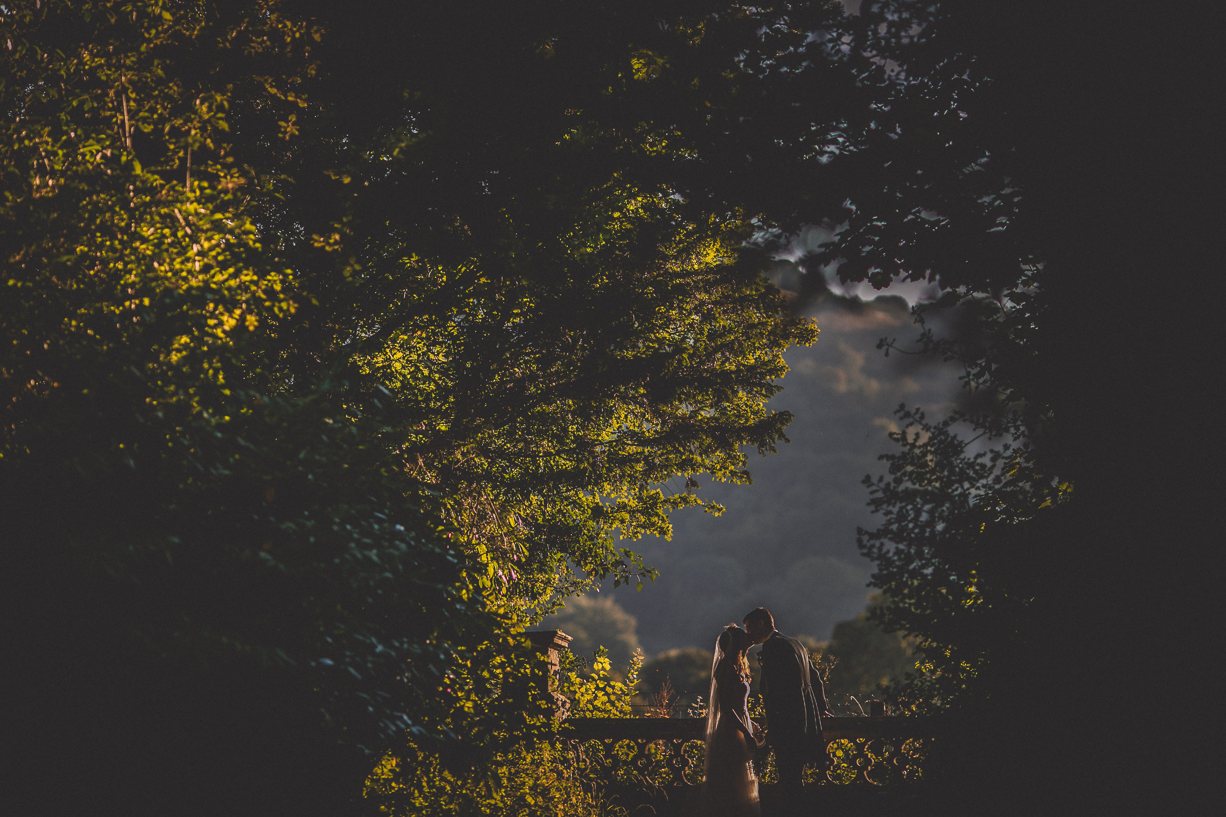 A wedding photographer captures a bride and groom sharing a tender kiss amidst the enchanting woods.