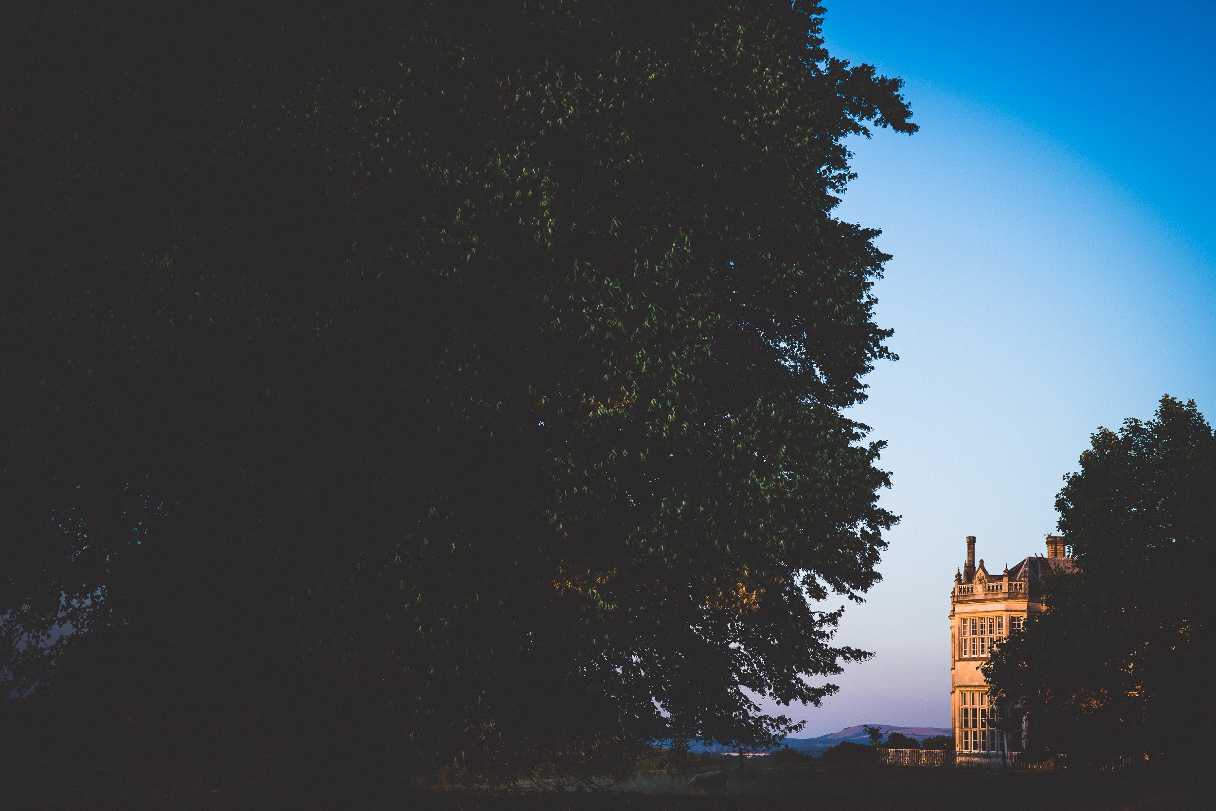 An image of a castle at dusk with trees in the background, perfect for a wedding setting.