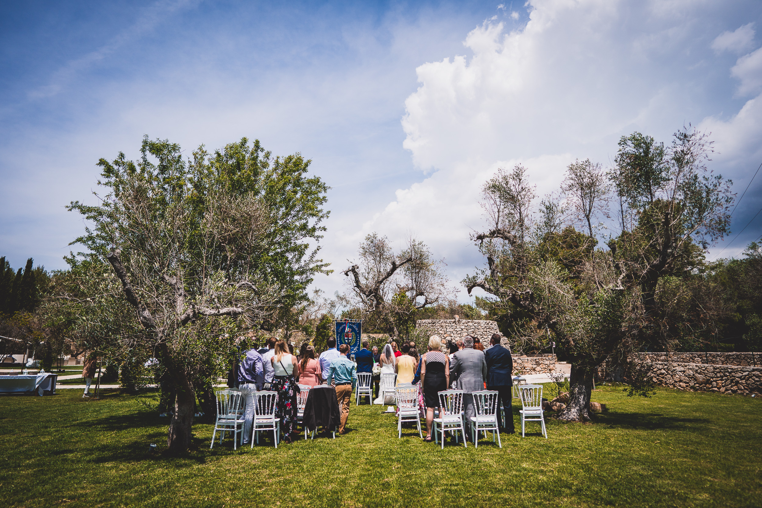 A bride posing for wedding photos in an olive grove, captured by a skilled wedding photographer.