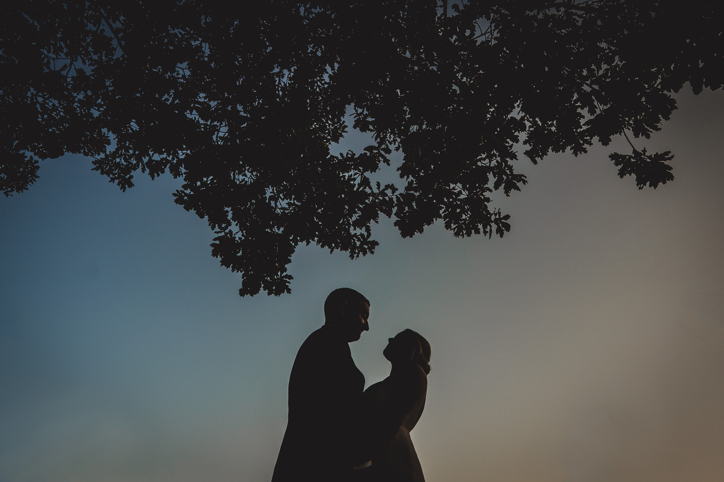 A wedding photo capturing the silhouette of a couple standing under a tree.