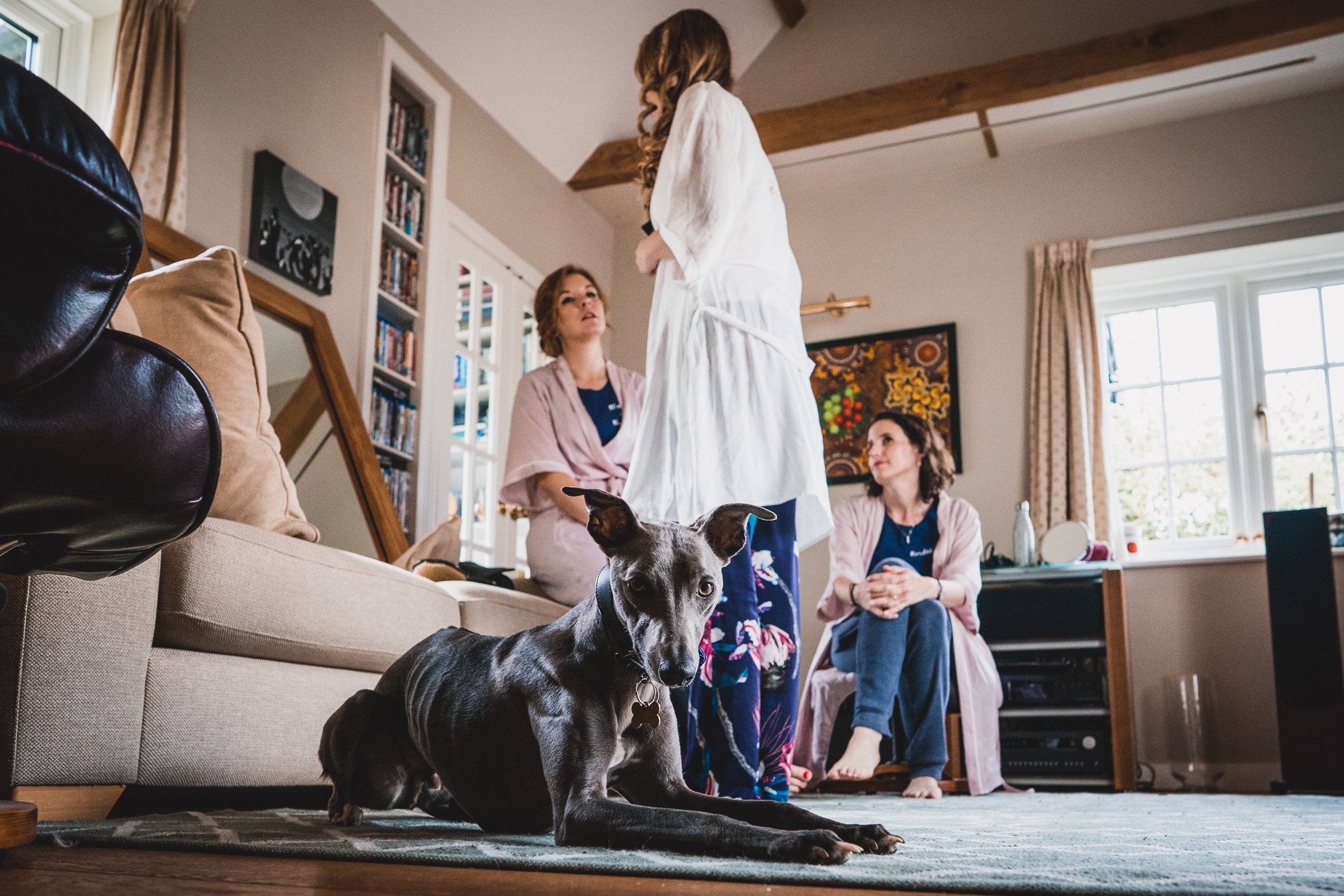 A bride, bridesmaids, and a dog pose for their wedding photo in a cozy living room.