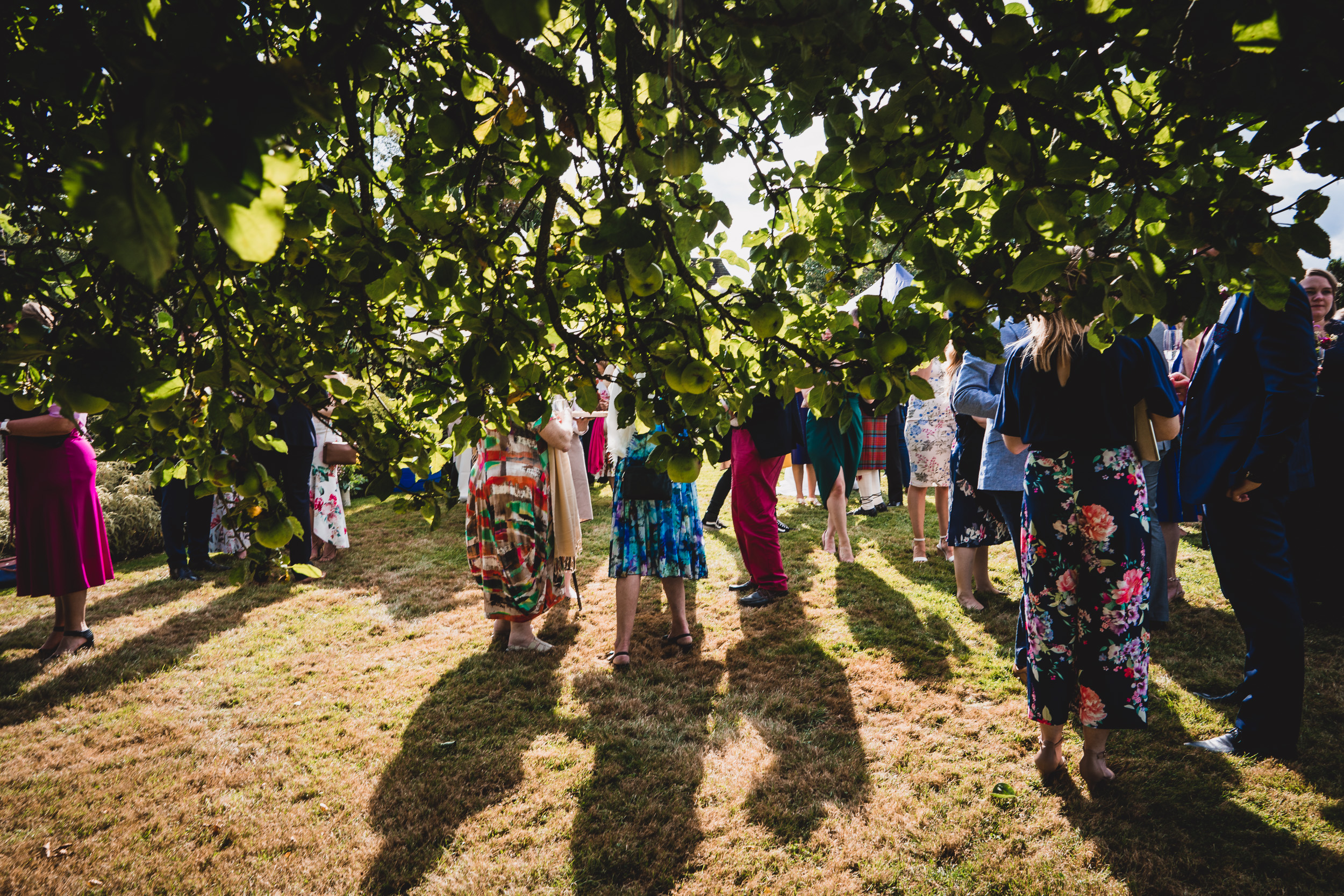 A wedding photographer captures a group of people, including the groom, standing under a tree for a wedding photo.