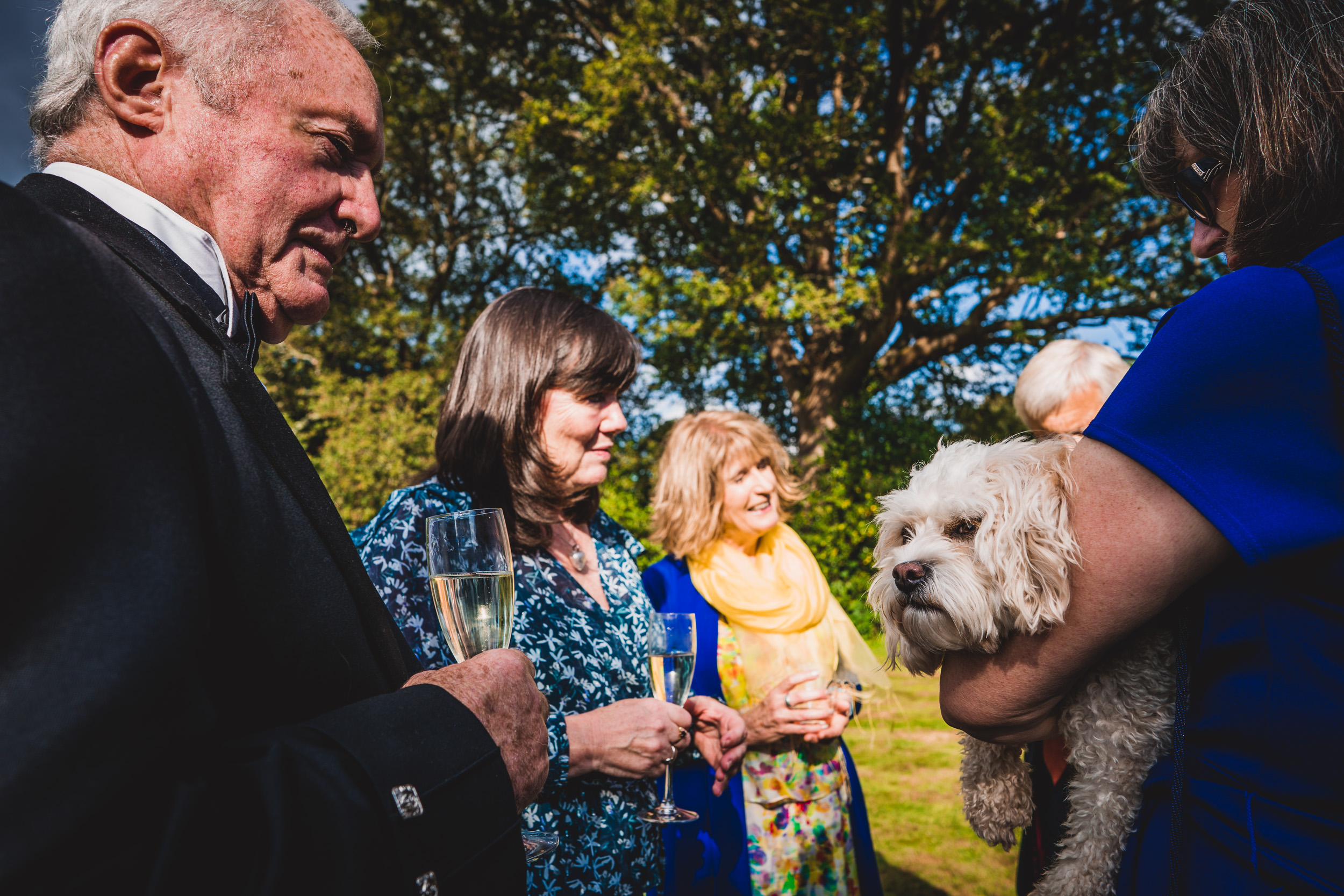 A groom holding a dog in a wedding photo.