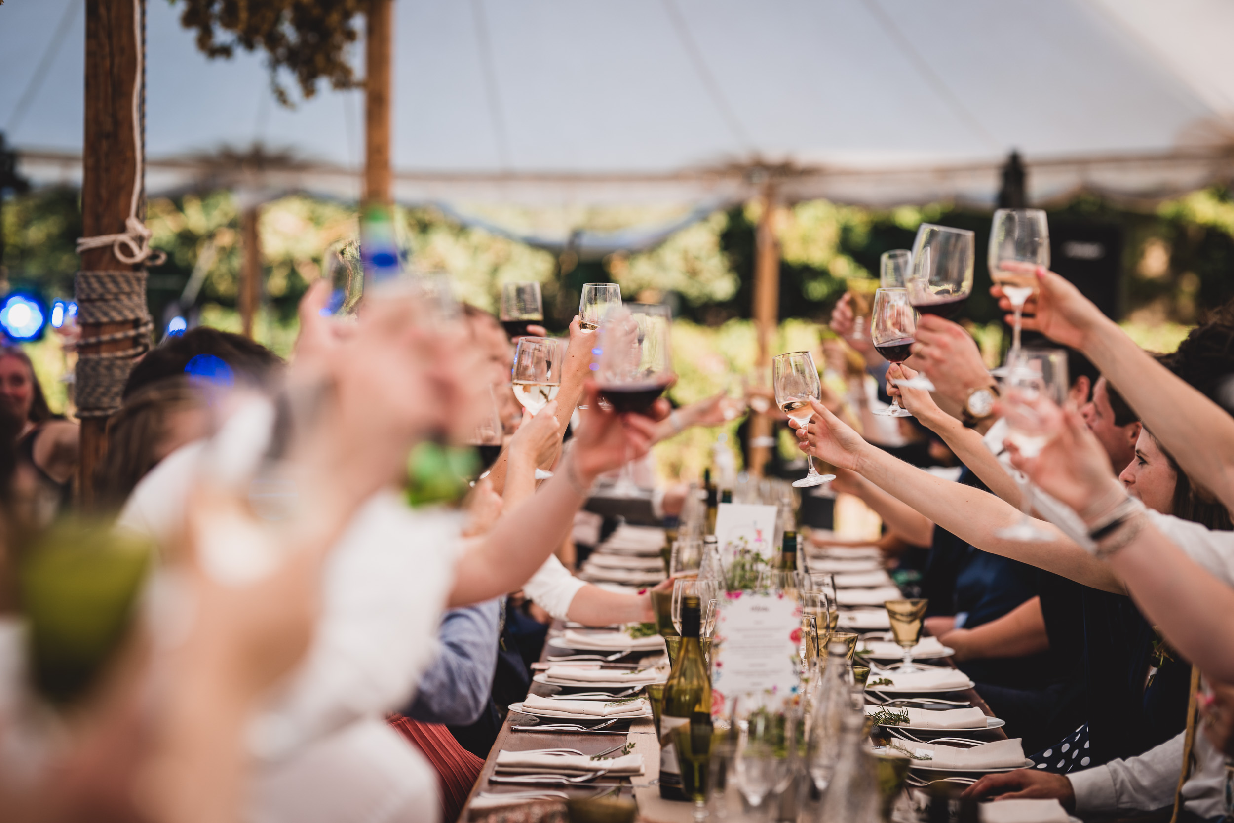A group of people toasting at a wedding dinner party.