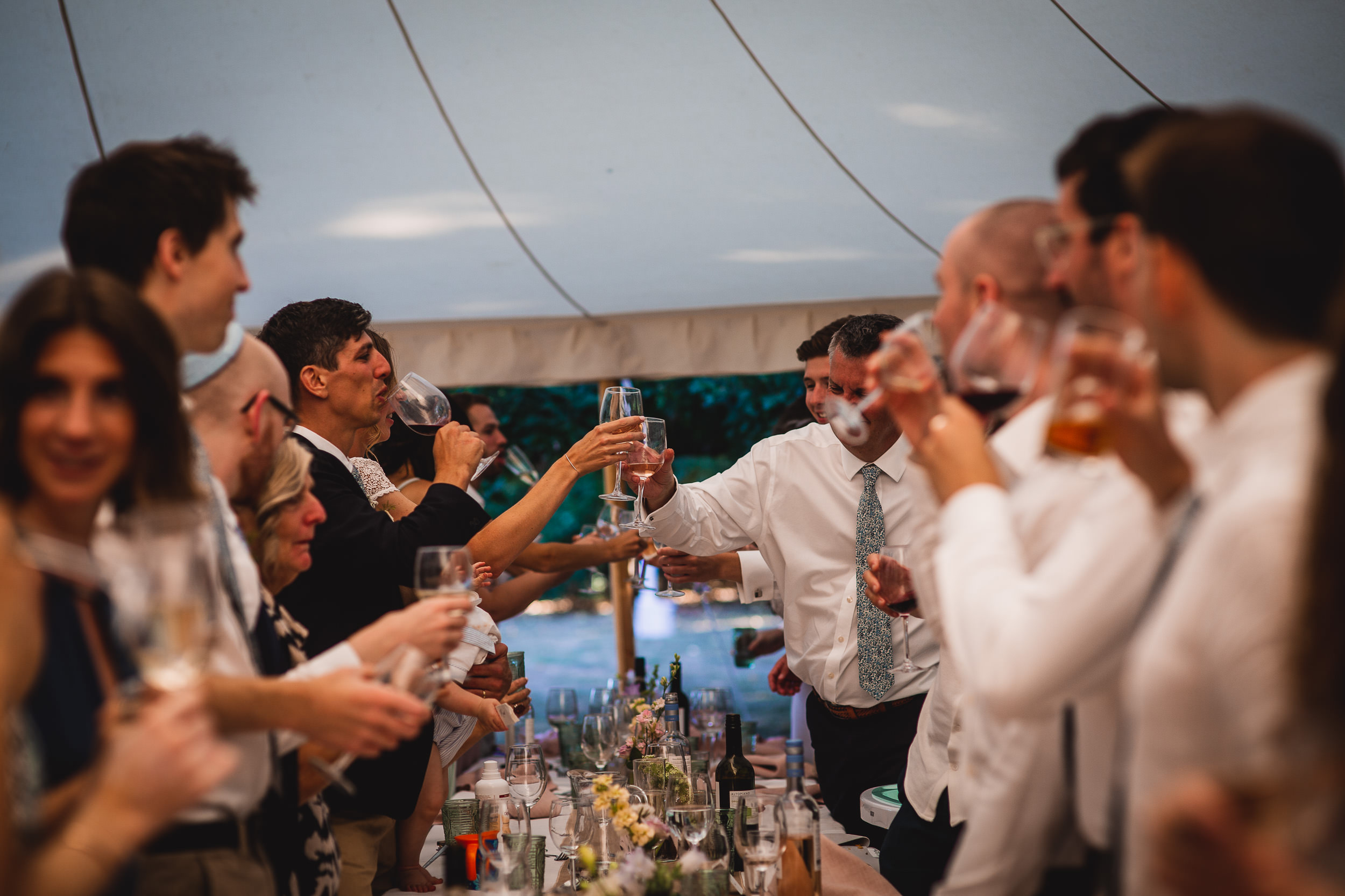 A group of people toasting at a wedding.
