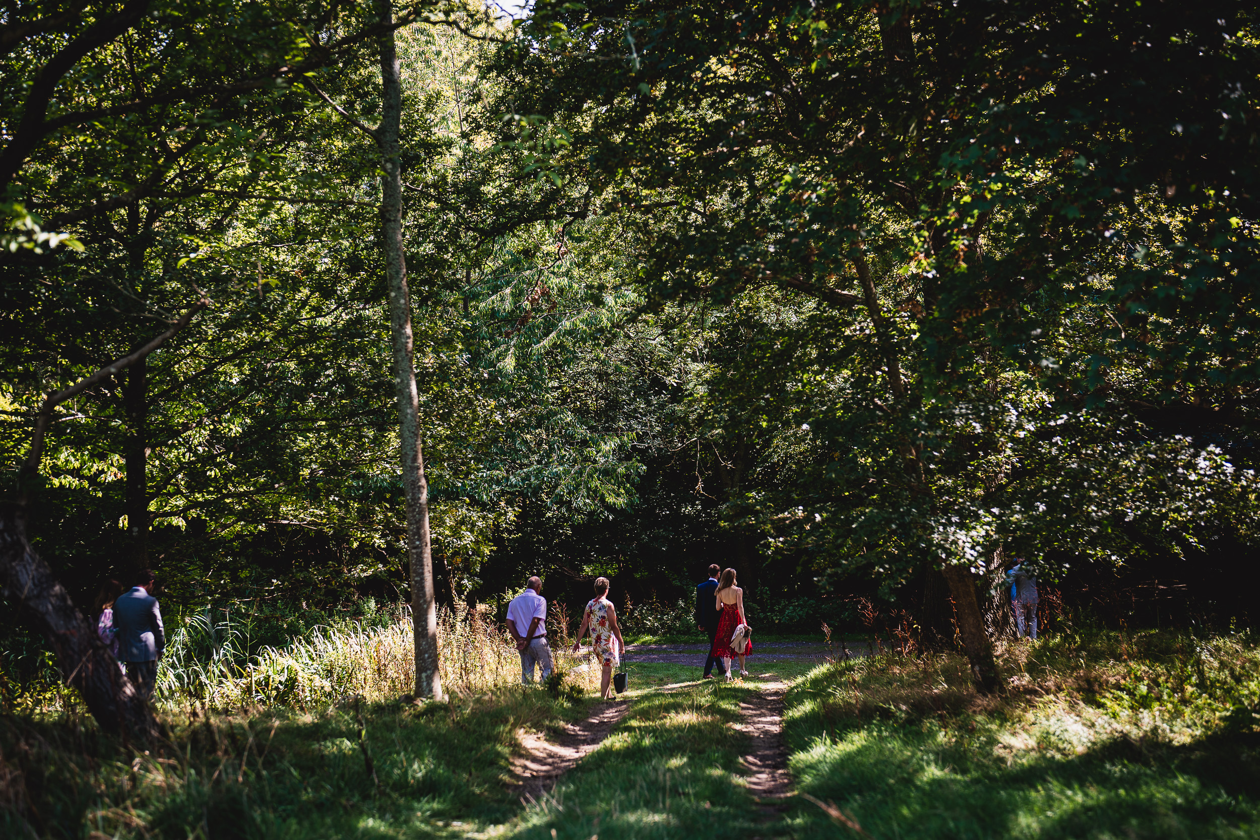 A group of people walking down a path in the Surrey woods.