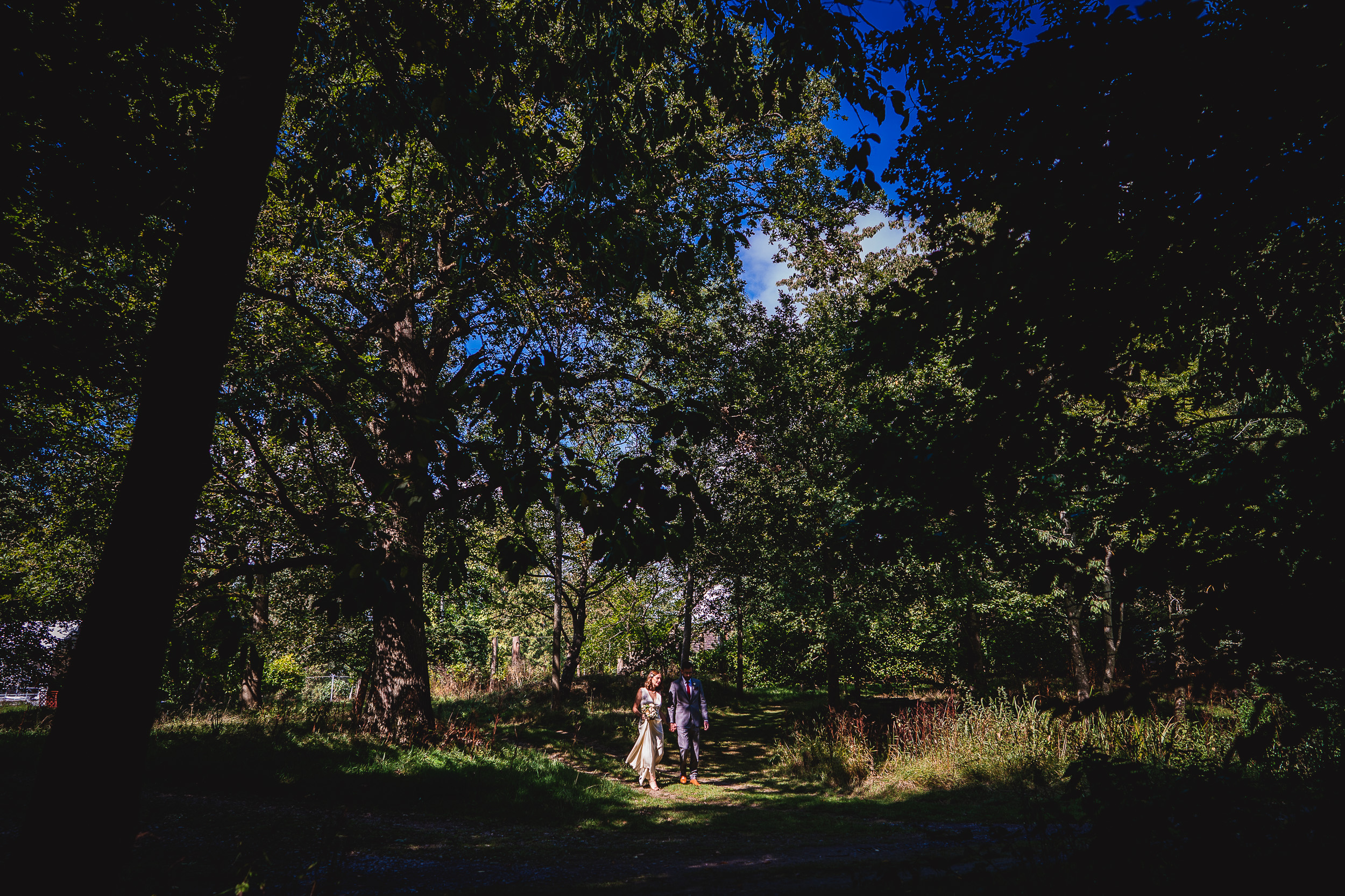 A Surrey Wedding - A bride and groom walking down a path in the woods at Ridge Farm.
